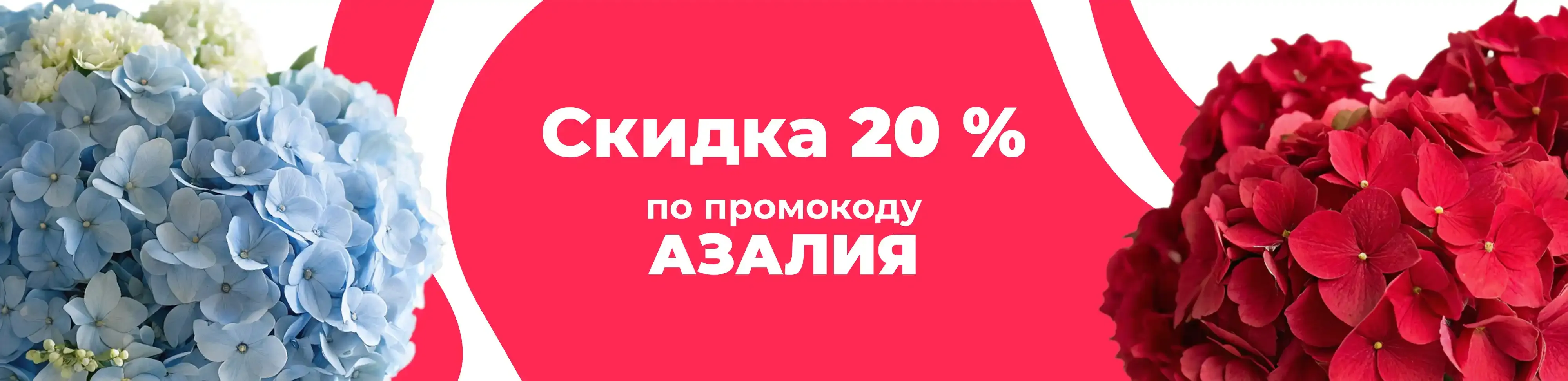 Баннер для рубрики: Гидрангии