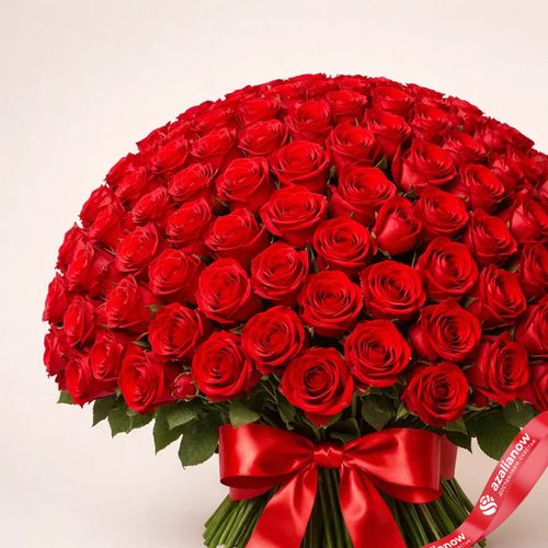 Фото 3: Букет из 301 красной розы с красной лентой