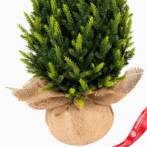 Фото 5: Ель искусственная в кашпо, Н60х26х26см, зеленый