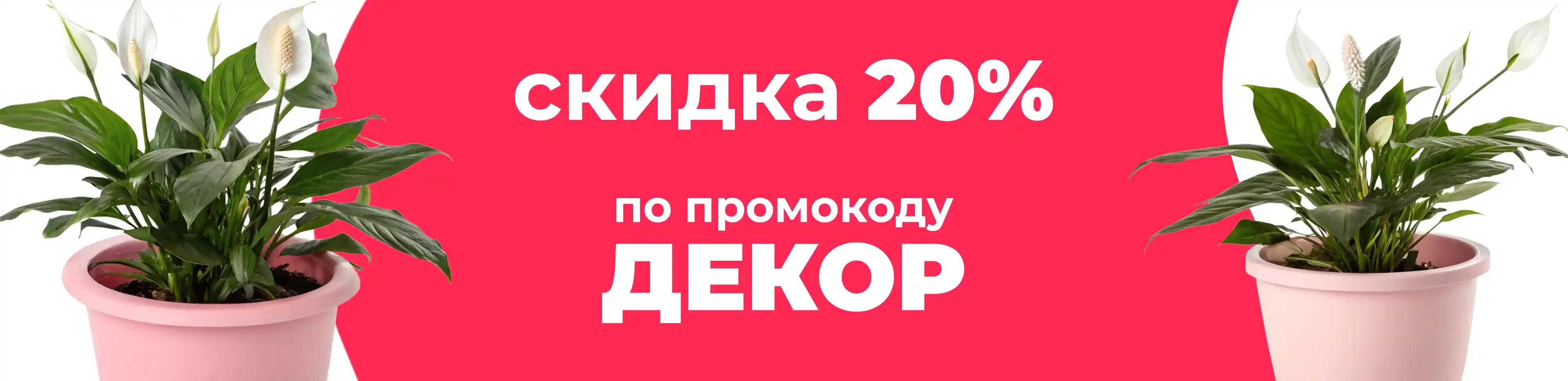 Баннер для рубрики: Кашпо для спатифиллума