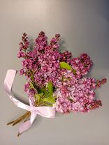 Акция! Букет из сирени S. Фото флориста - 0