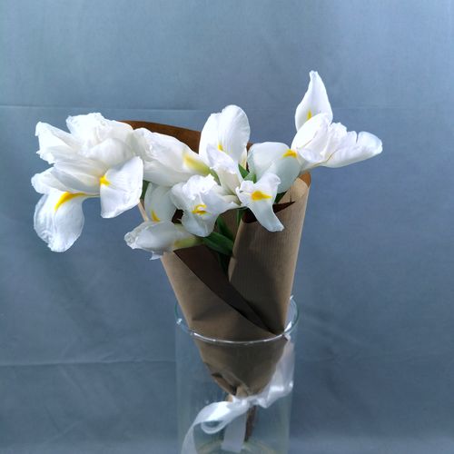 Показать все изображения