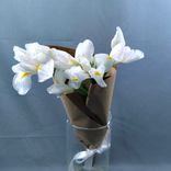 Фото флориста 1: Букет из 7 белых ирисов в крафте