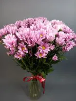Фото флориста 6: 1 xризантема розовая, Голландия