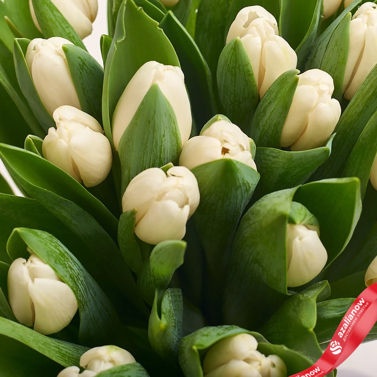 Фото 3: Букет из 25 белых тюльпанов в крафте. Сервис доставки цветов AzaliaNow