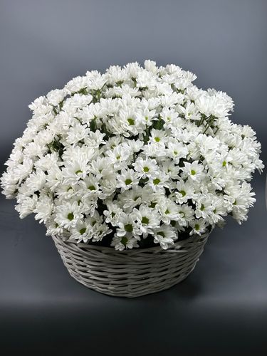 Фото флориста 1: Купить белые цветы