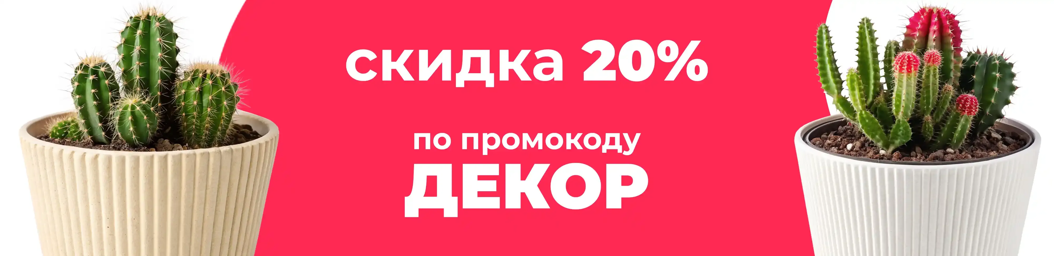 Баннер для рубрики: Горшки для кактусов