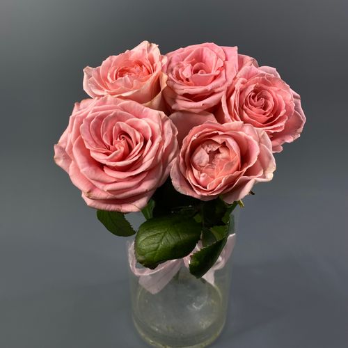 Фото флориста 6: Пионовидные розы