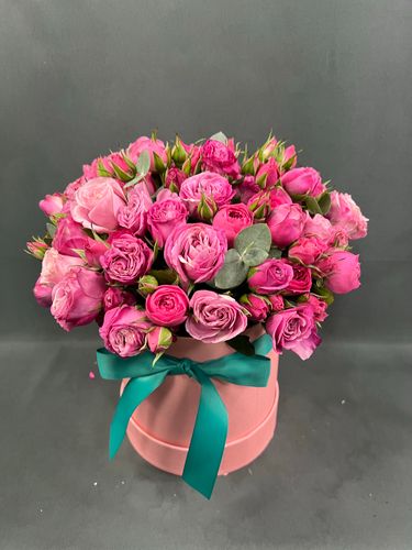 Показать все изображения