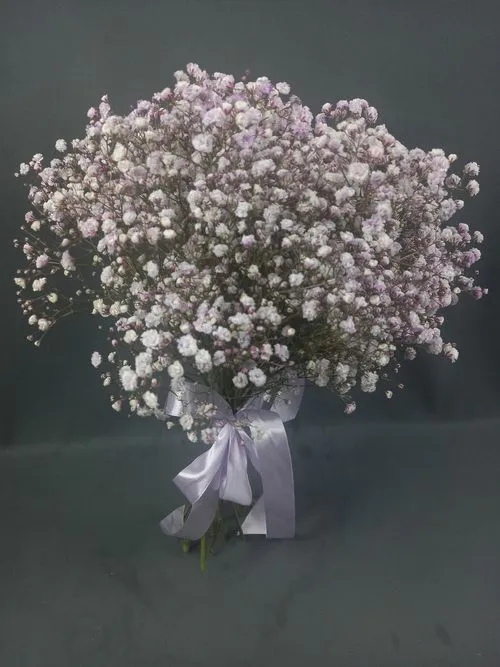 Фото флориста 1: Гипсофилы