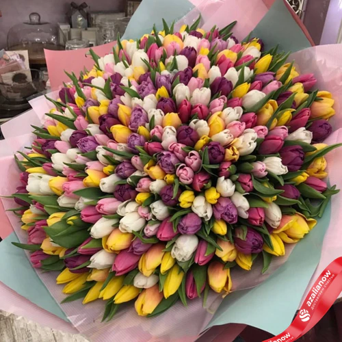 Фото 1: Букет из 301 тюльпана микс в двухцветной упаковке. Сервис доставки цветов AzaliaNow