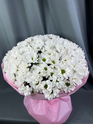 Показать все изображения