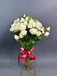Фото флориста 5: Роза кустовая микс, Голландия