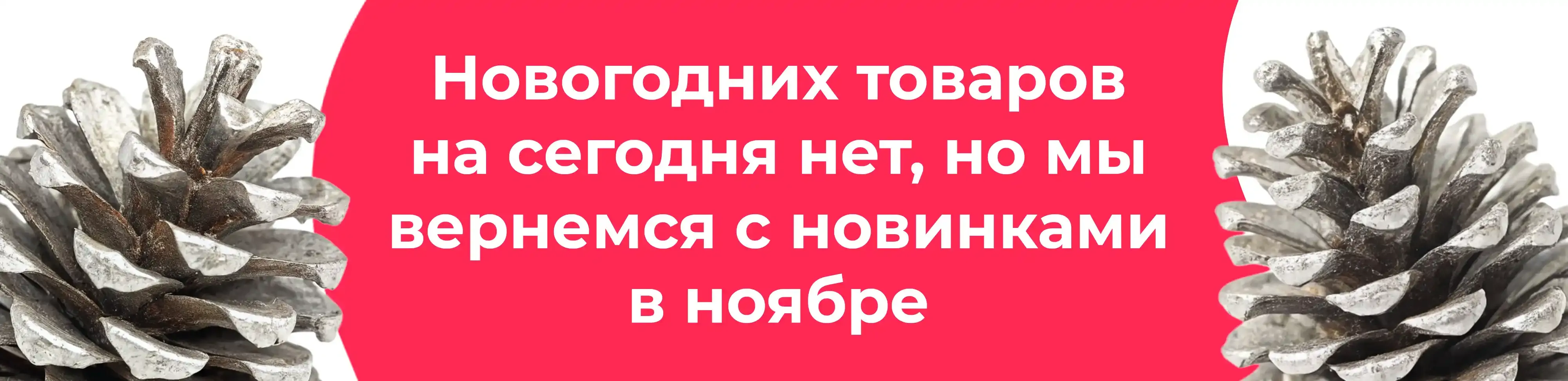 Баннер для рубрики: Сосны