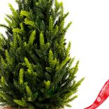 Маленькое фото 3: Ель искусственная в кашпо, Н45х25х25см, зеленый