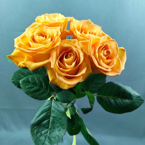 Фото флориста 1: Цветы метро Первомайская