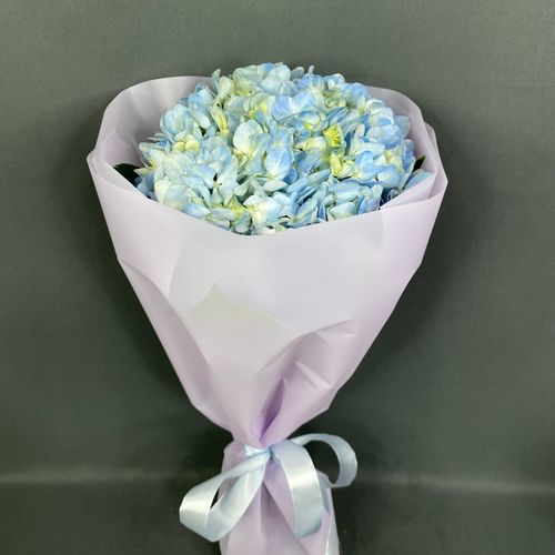 Фото флориста 3: Гортензии