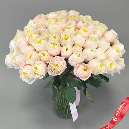 Фото 2: Букет из 101 нежно‑розовой пионовидной розы Эквадор, оформленный под ленту, 50 см