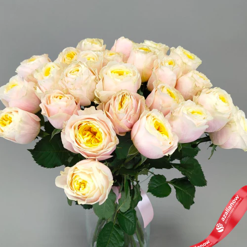 Фото 2: Букет из 25 нежно‑розовых пионовидных роз Эквадор, оформленный под ленту, 50 см