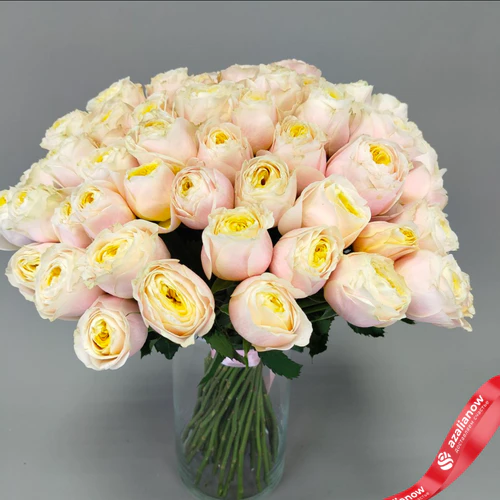 Фото 2: Букет из 51 нежно‑розовой пионовидной розы Эквадор, оформленный под ленту, 50 см