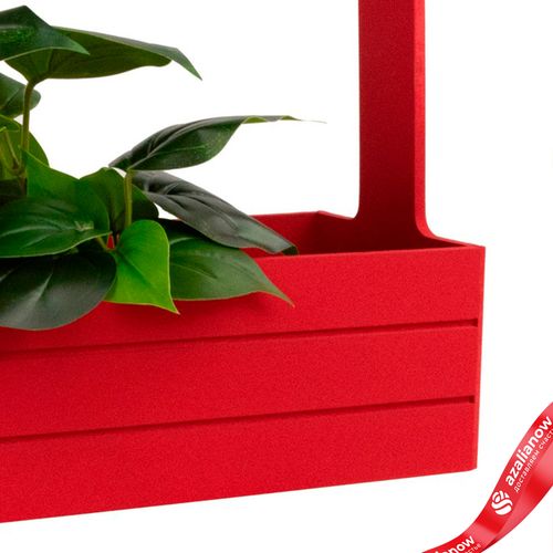 Фото 4: Корзина (дерево), 25х15х30см, красный