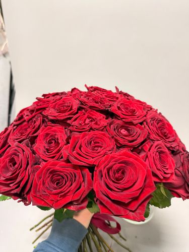 Показать все изображения