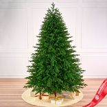 Маленькое фото 1: Ель искусственная «Суздальская» (PE), 2,4 м, зеленый