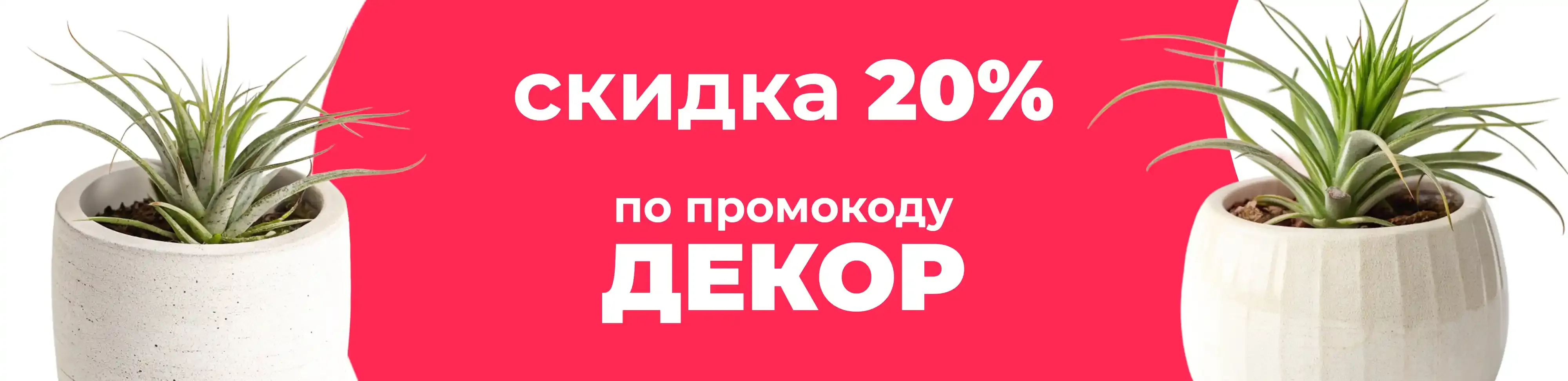 Баннер для рубрики: Горшки для тилландсий