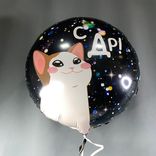 Фото флориста 4: Шар с гелием «Круг - С ДР (котик)», 46 см