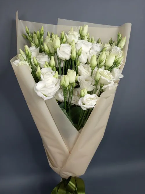 Фото флориста 2: Фрезии