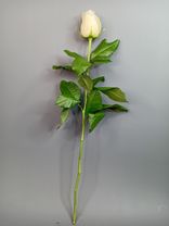 Фото флориста 3: Роза белая, Россия, 60см