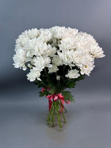 Фото флориста 1: Хризантемы кустовые