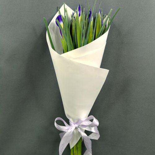 Фото флориста 1: Ирисы