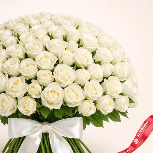 Фото 5: Букет из 201 белой розы с лентой