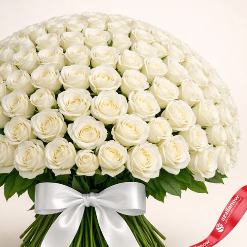 Фото 4: Букет из 301 белой розы с белой лентой