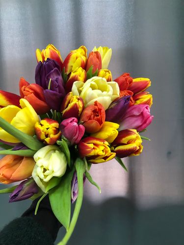 Показать все изображения