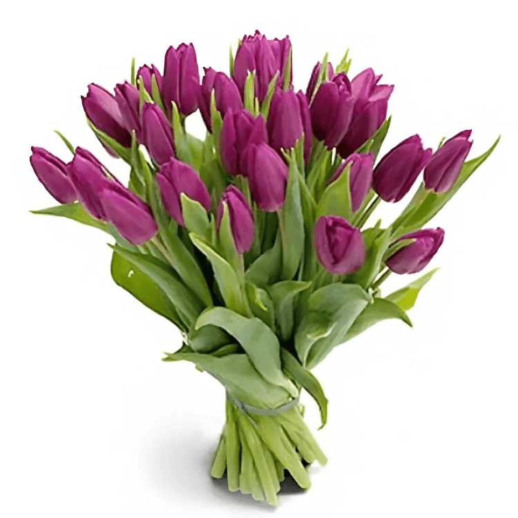 Фото 1: Букет из 31 фиолетового сортового тюльпана. Сервис доставки цветов AzaliaNow