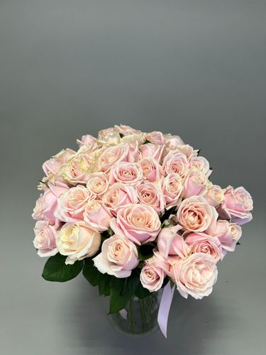 Показать все изображения