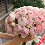 Маленькое фото 2: Букет из 25 пионовидных розовых роз с белой лентой, 50 см, Эквадор. Сервис доставки цветов AzaliaNow