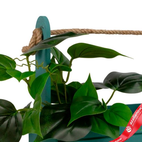 Фото 5: Корзина (дерево), 21х12х23см, изумрудный