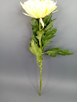 Фото флориста 5: 1 желтая одноголовая хризантема