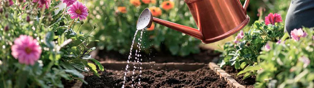 Уход за садом