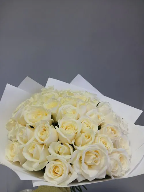 Показать все изображения