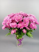 Фото флориста 1: Букет из 9 кустовых фиолетовых хризантем с лентой, Ромашка, Голландия