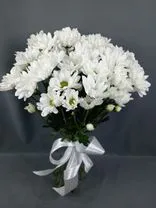 Фото флориста 3: Букет из 9 кустовых белых хризантем с лентой, Ромашка, Голландия