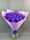 Фото флориста 1: Букет из 35 синих ирисов в фиолетовой пленке