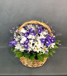 Фото флориста 1: Акция! Букет из ирисов и хризантем «Свежесть утра»