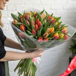 Маленькое фото 1: Букет из 45 тюльпанов в пленке с зеленью