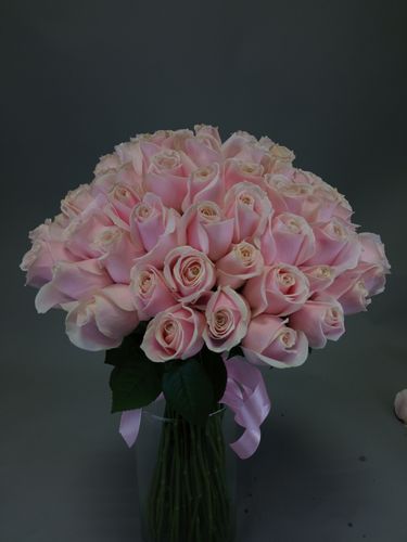 Показать все изображения