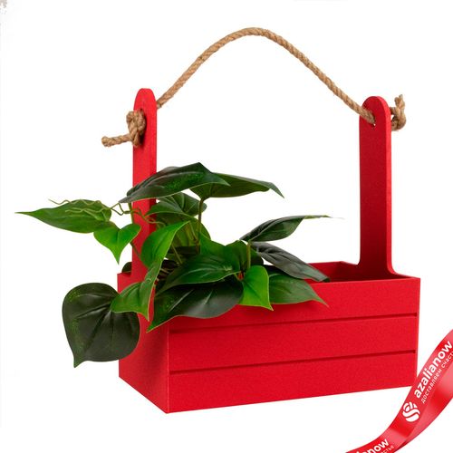 Фото 3: Корзина (дерево), 25х15х30см, красный